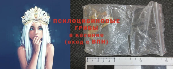тгк Арсеньев