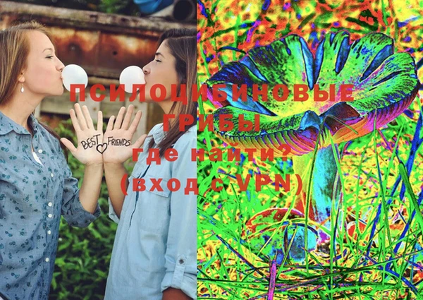 дмт Балахна