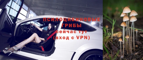 мдпв Семилуки