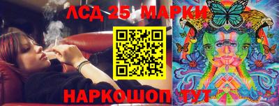 шишки Новозыбков
