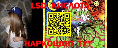 шишки Новозыбков