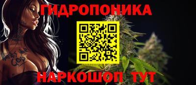 шишки Новозыбков