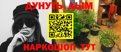 шишки Новозыбков