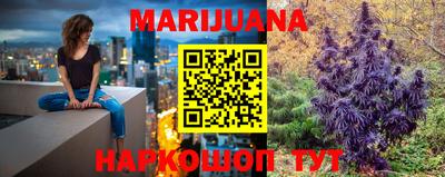 шишки Новозыбков