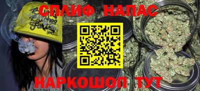 шишки Новозыбков