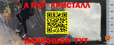 Альфа ПВП Новодвинск